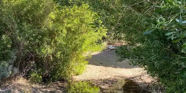 Image 3: Photo 3