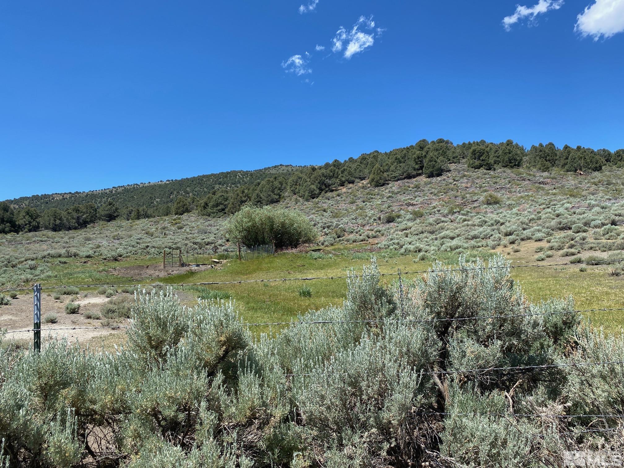 Image 4: Photo 4