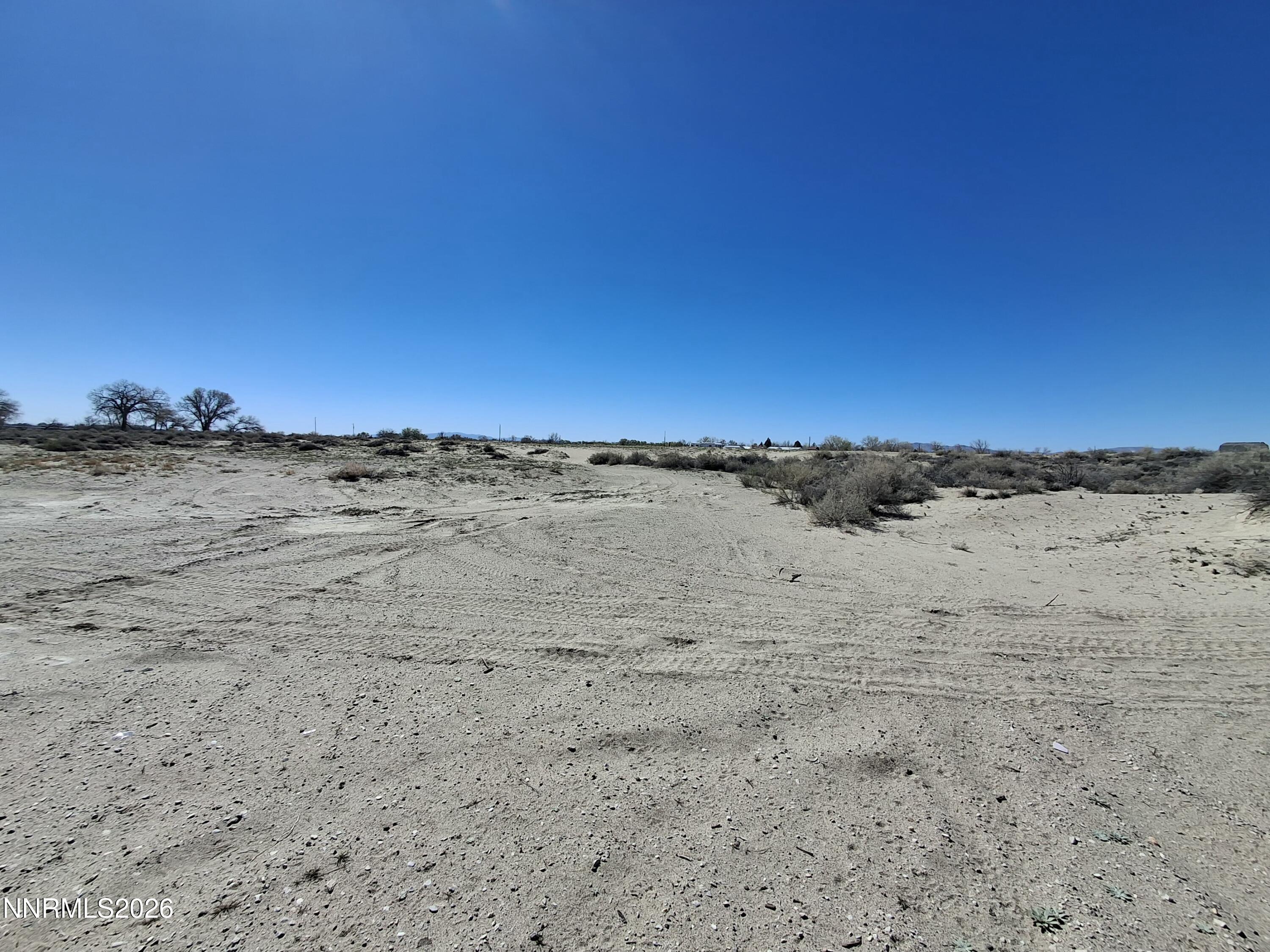 Image 3: 20260319_115734