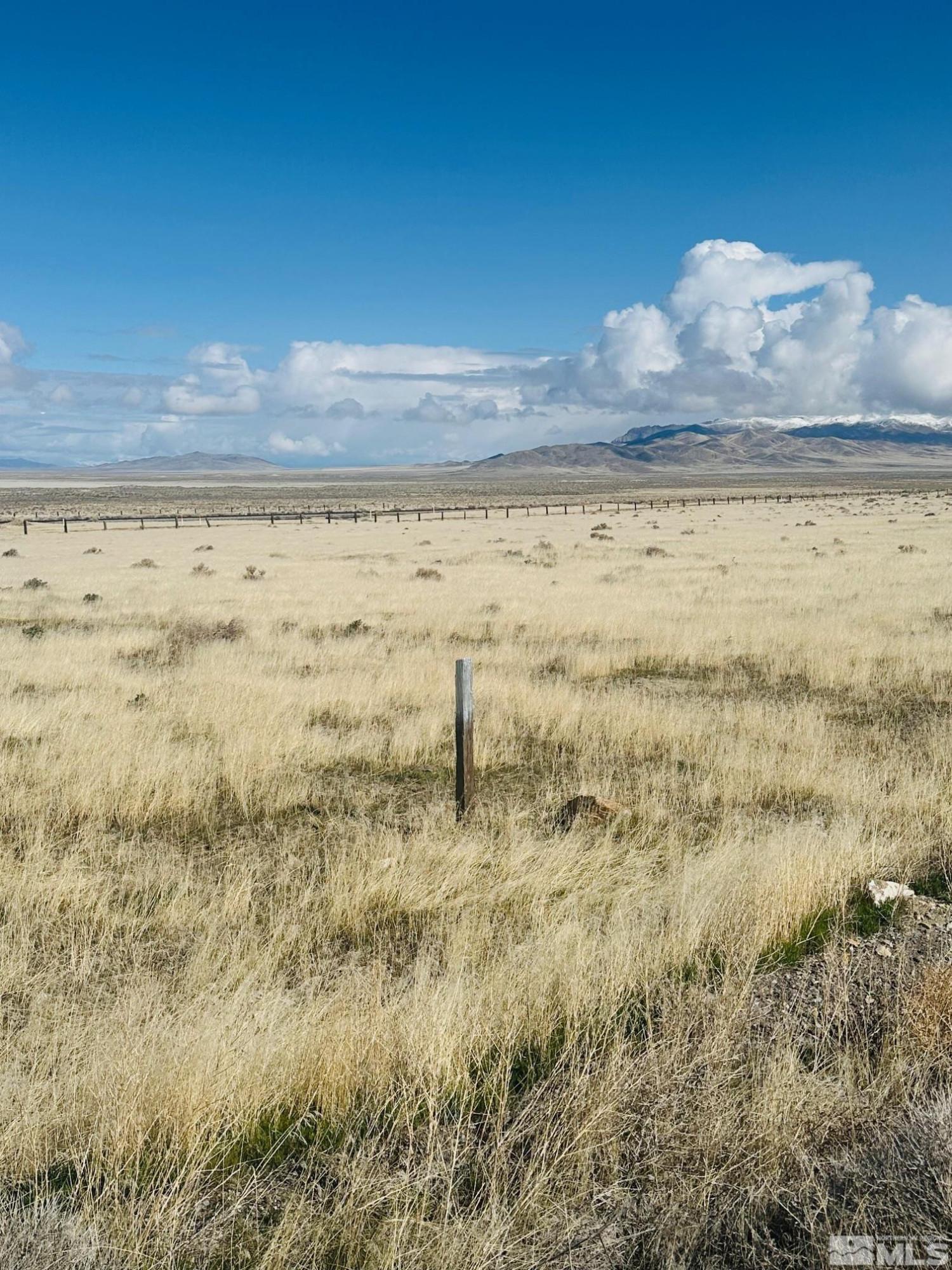 Image 2: Photo 2