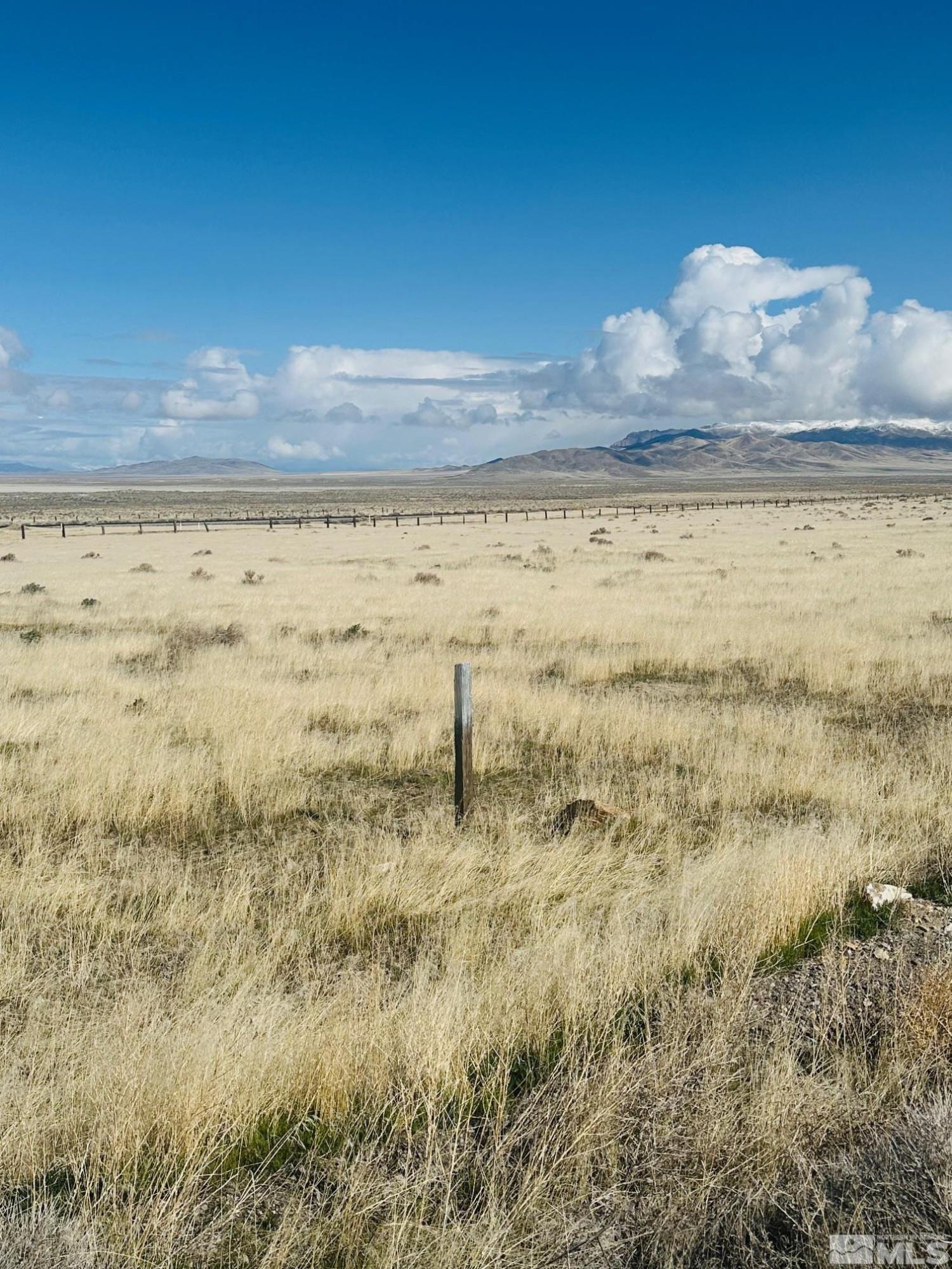 Image 3: Photo 3