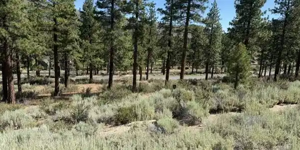 Image 3: Shook Lot 4