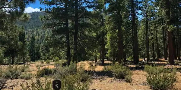 Image 3: Homesite 92