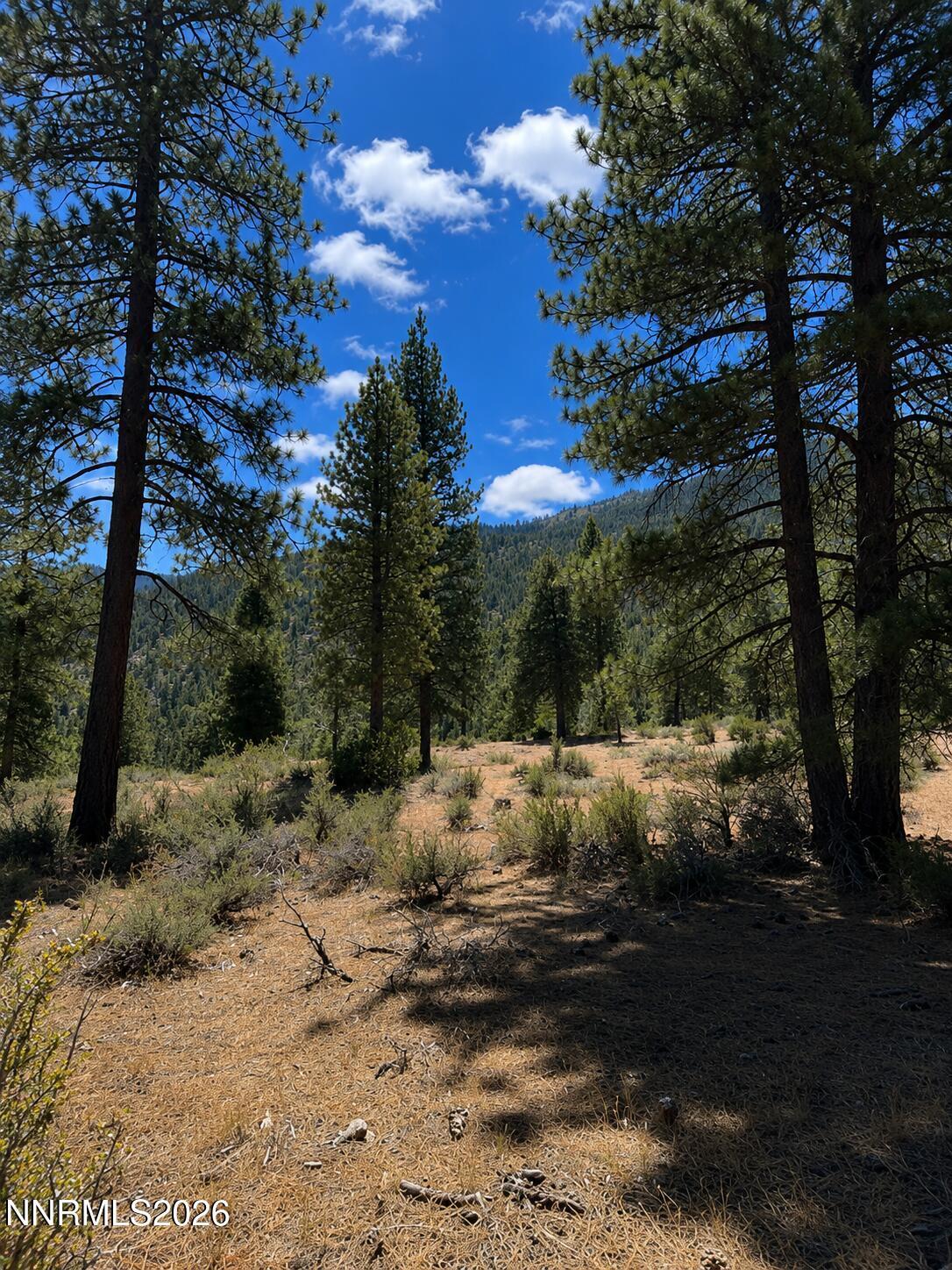 Image 4: Homesite 92