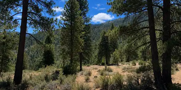Image 4: Homesite 92