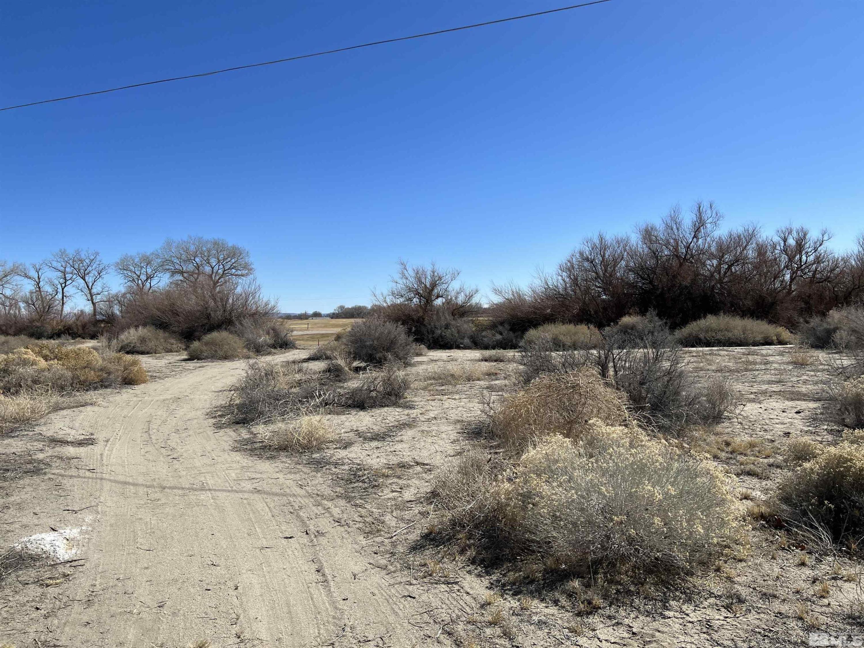 Image 3: Photo 3