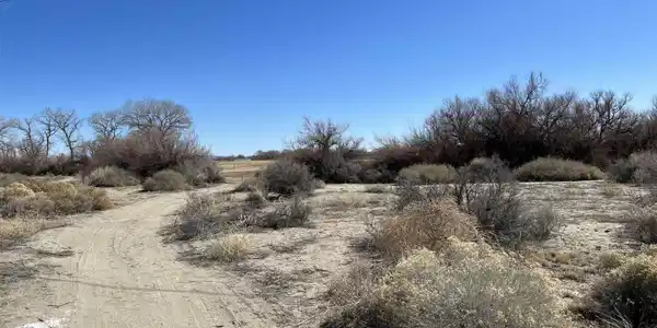 Image 3: Photo 3