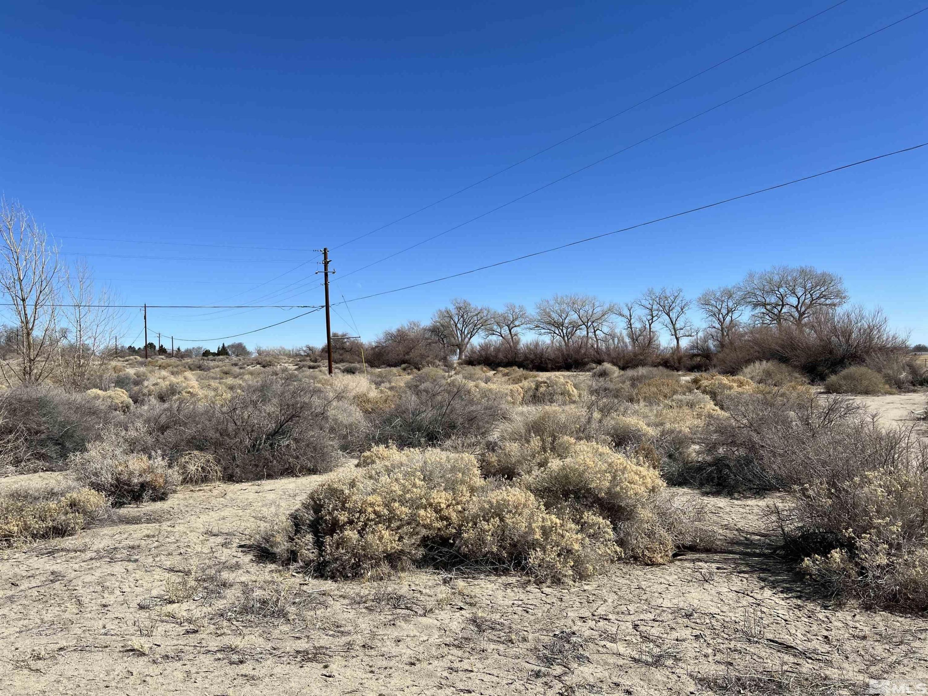 Image 4: Photo 4
