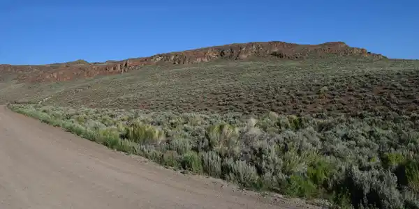 Image 4: 2023-06-16 08.02.07