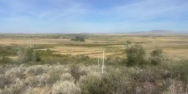 Image 3: Potential home site on top of hill