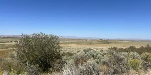 Image 4: Walther view N