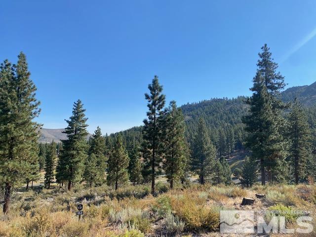 Image 2: Pristine Views