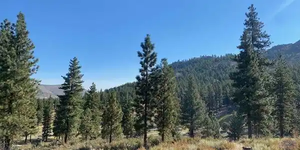 Image 2: Pristine Views
