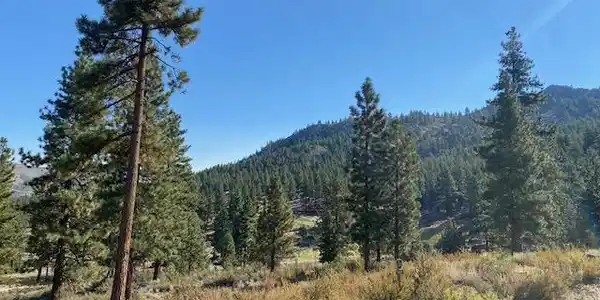 Image 4: Views