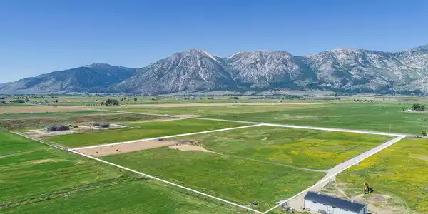 1225 Highway 88