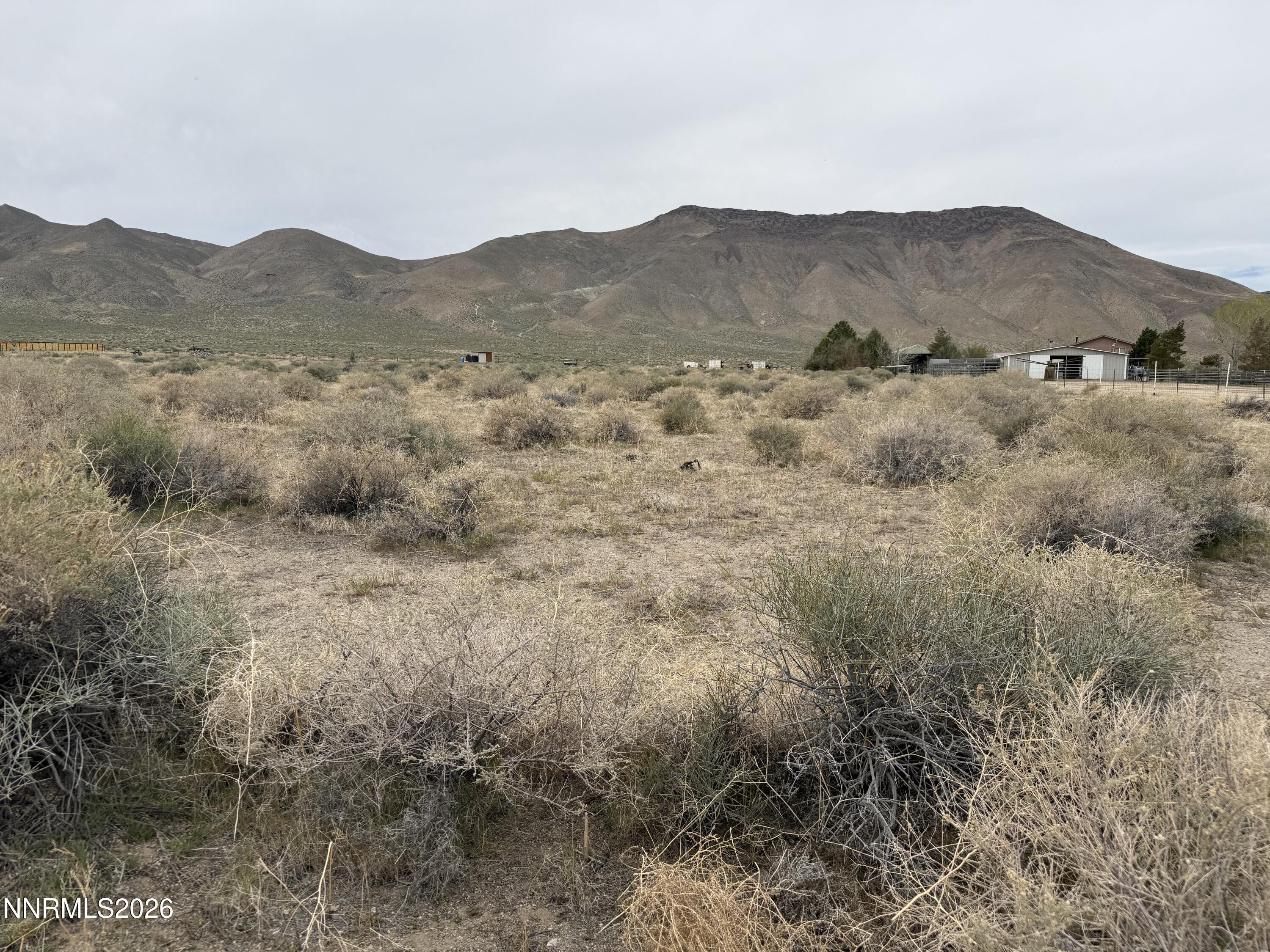 Image 4: IMG_3347