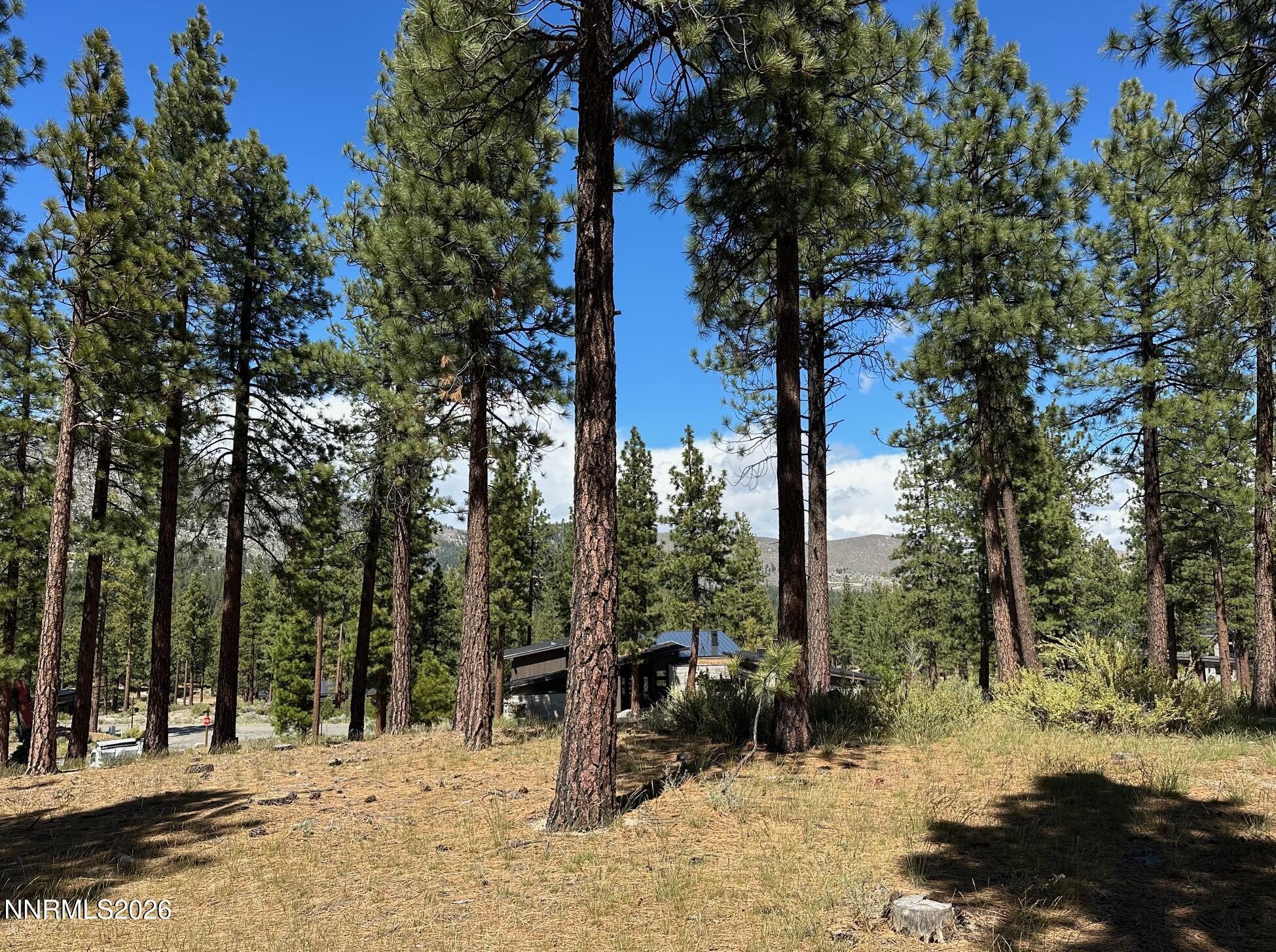 Image 4: 274 lot