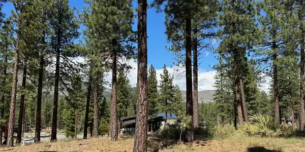 Image 4: 274 lot