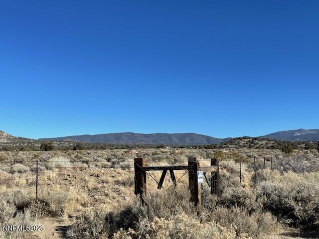 Image 4: IMG_4054