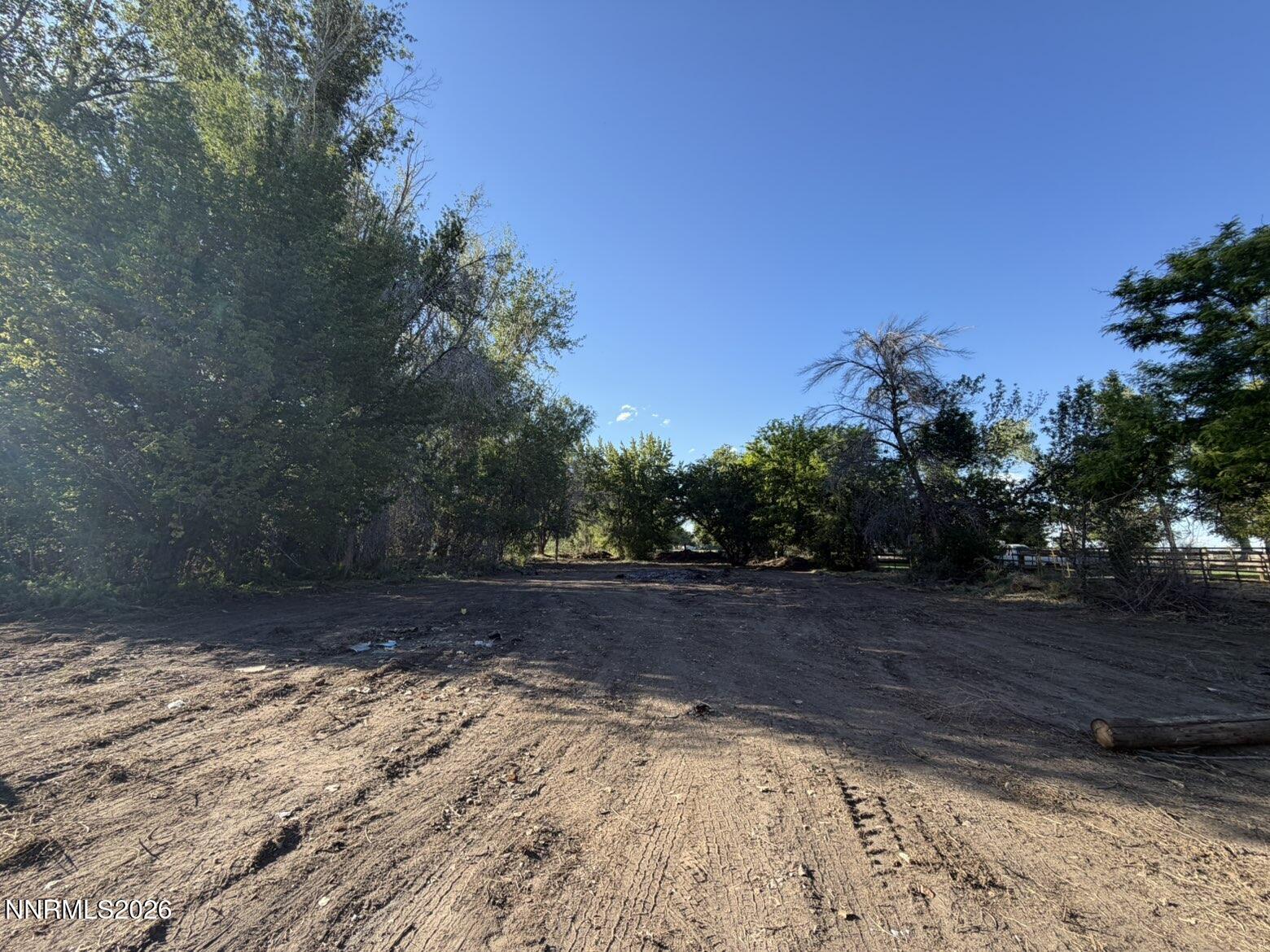 Image 3: back land