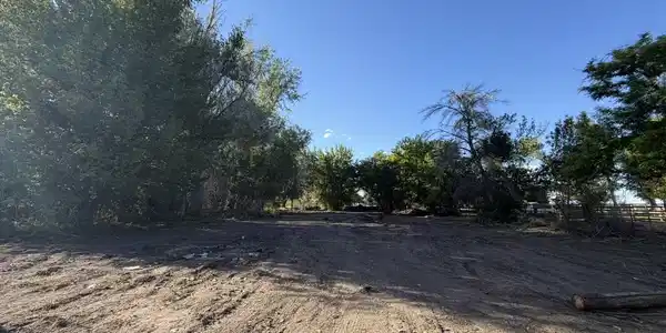Image 3: back land