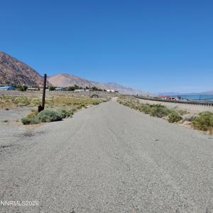 00 Golden Willow & Cottonwood