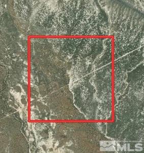 01542008 Near Bombing Range Road