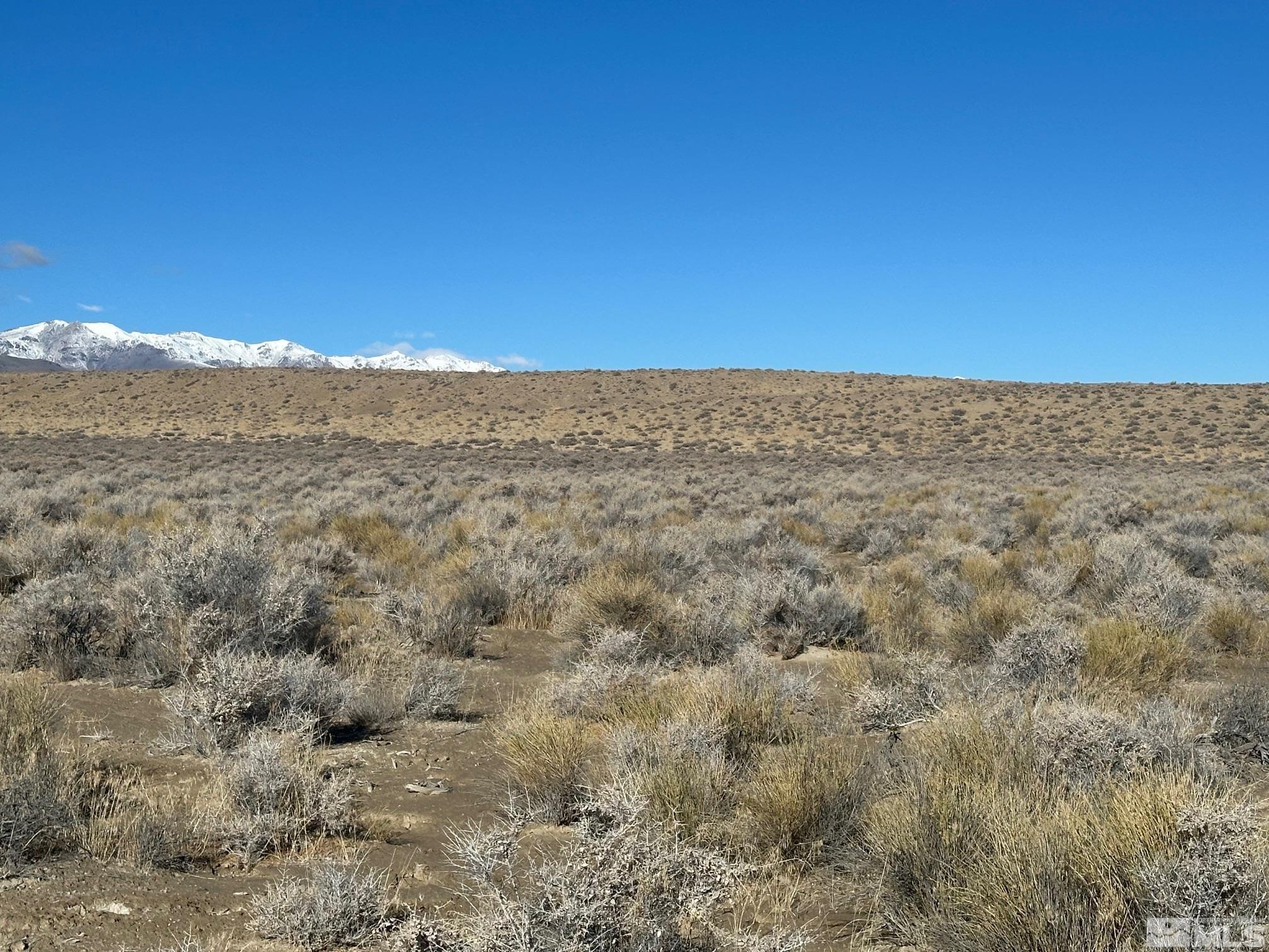 Image 3: Photo 3