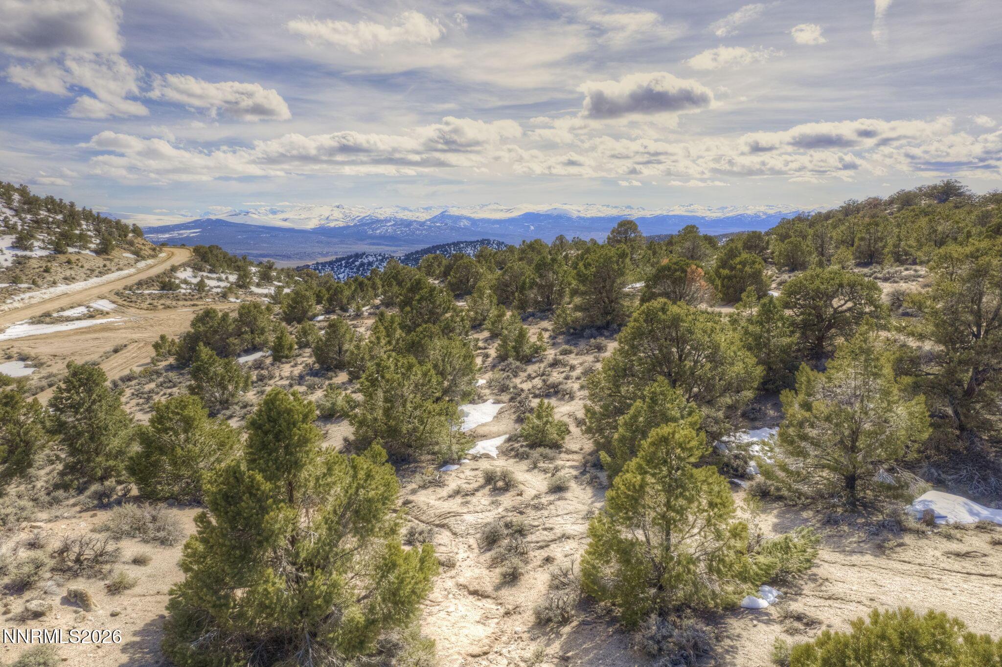 Image 4: 4-web-or-mls-lucky-boy-pass-rd