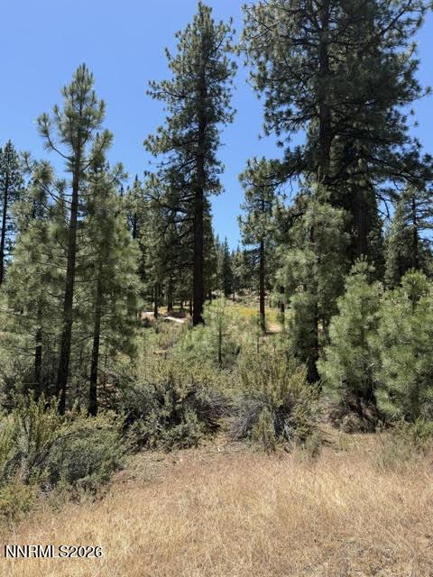 Image 2: Homesite 210
