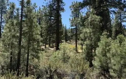 Image 2: Homesite 210