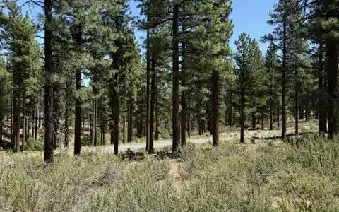 Image 3: Homesite 210