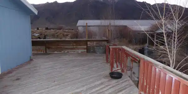 Image 3: P1030283
