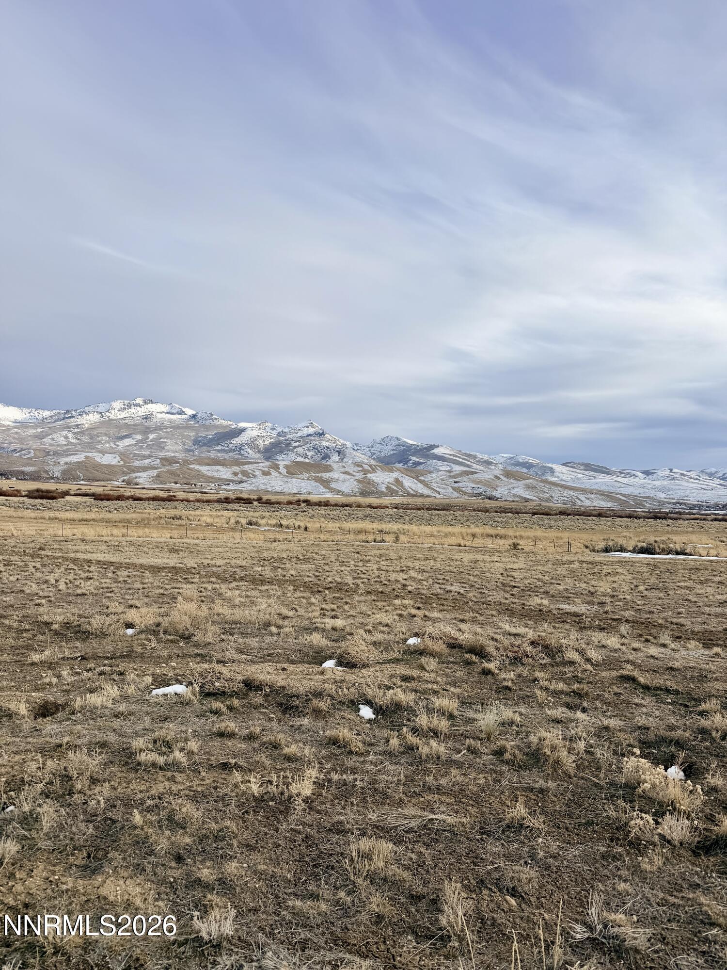 Image 3: IMG_4205 2
