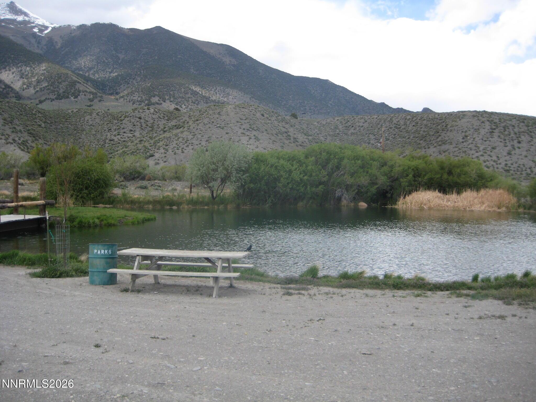 Image 2: Fish Pond