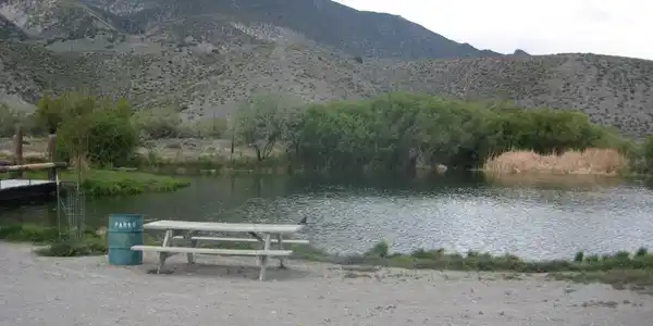 Image 2: Fish Pond
