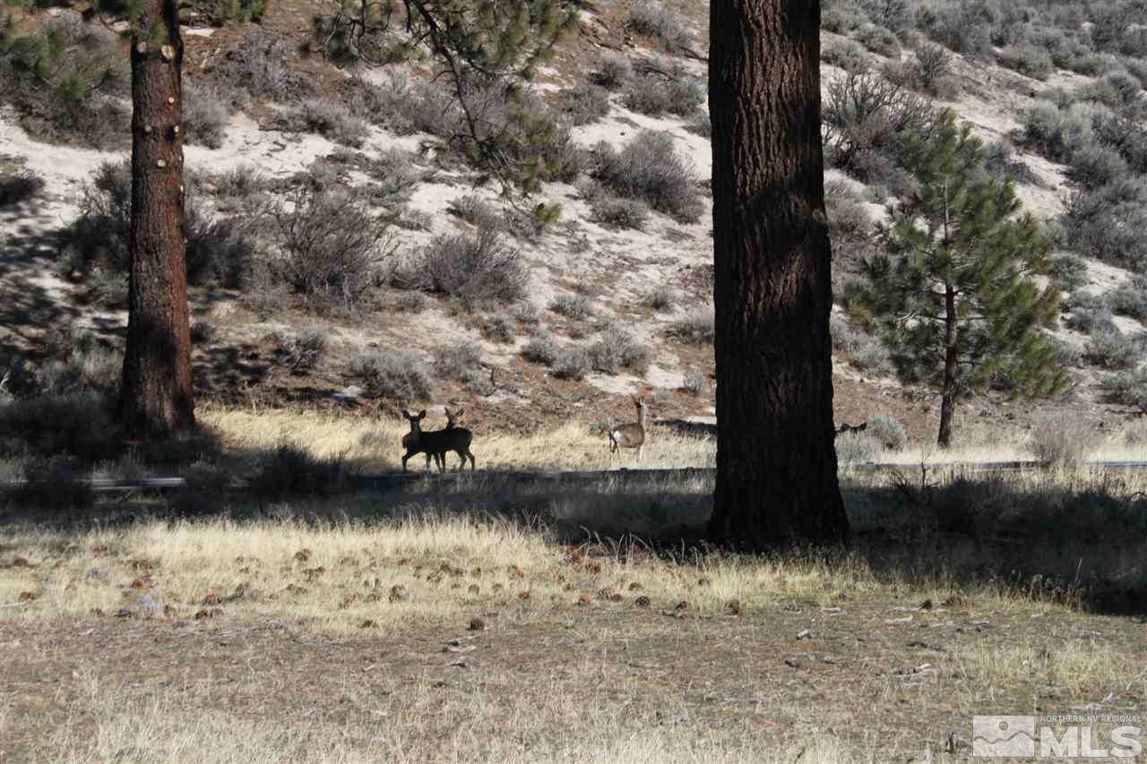 Image 3: Photo 17