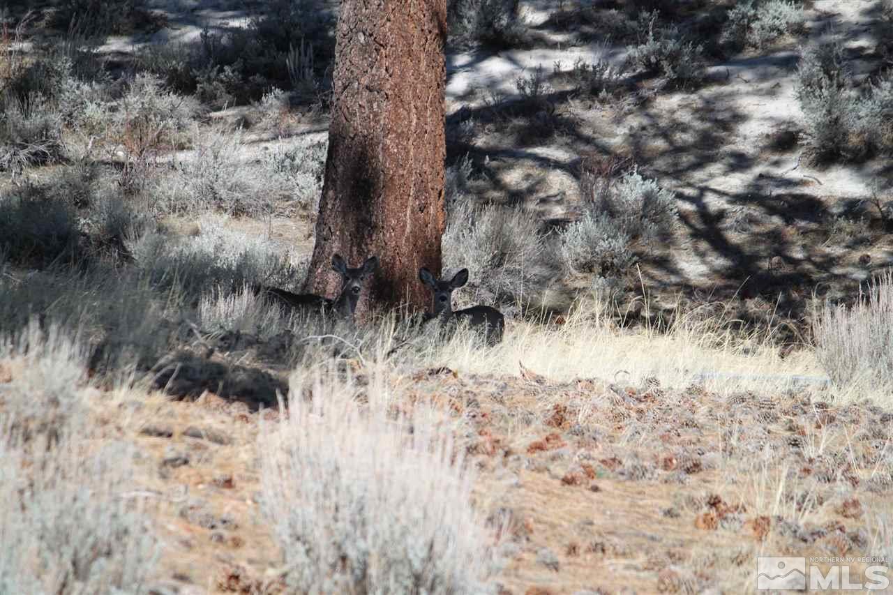 Image 4: Photo 18