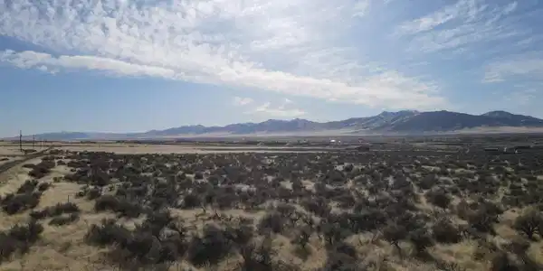 Image 4: Photo 4