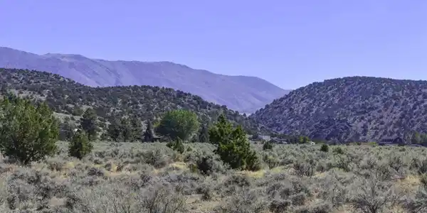 Image 2: Photo 2