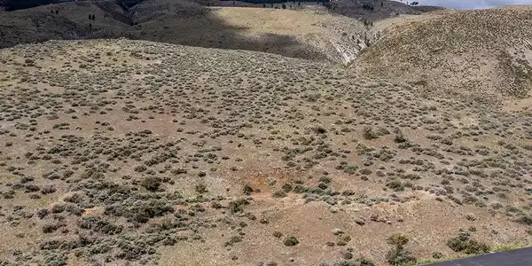 Image 4: DJI_0475