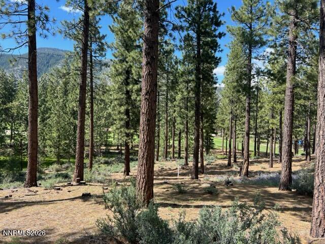 Image 4: Homesite 246