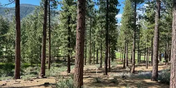 Image 4: Homesite 246