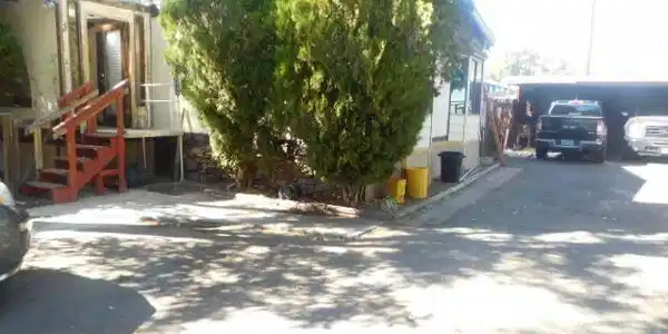 Image 2: 255 Jani Pl 001