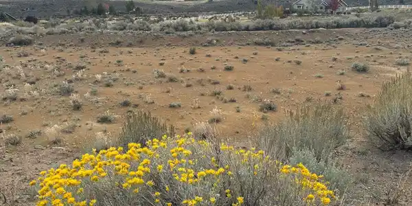 Lot 5 Sunrise Trail