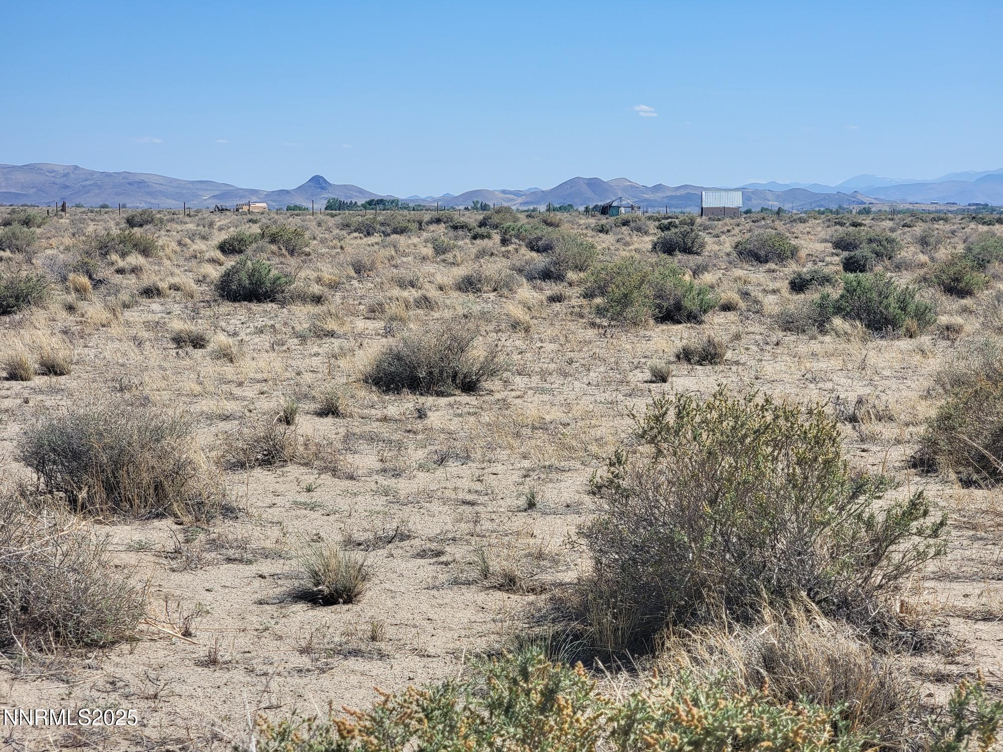 Image 3: 20250521_153424