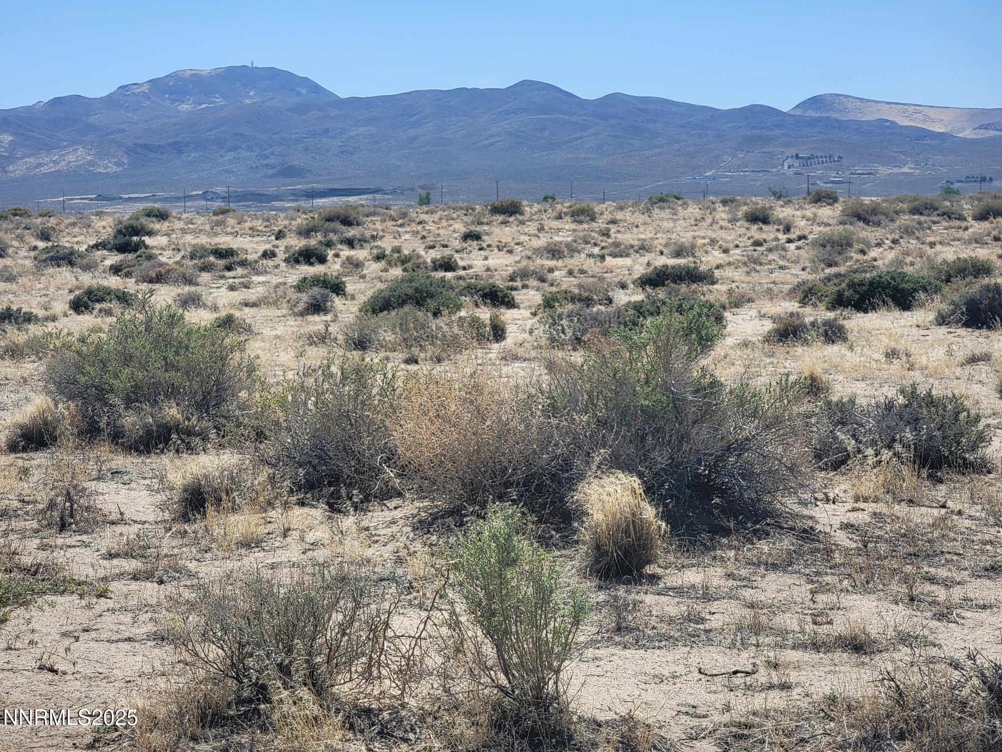Image 4: 20250521_153428