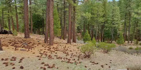 104 Village Trail