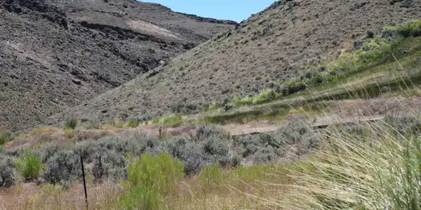 Image 2: 2024-06-18 11.09.08