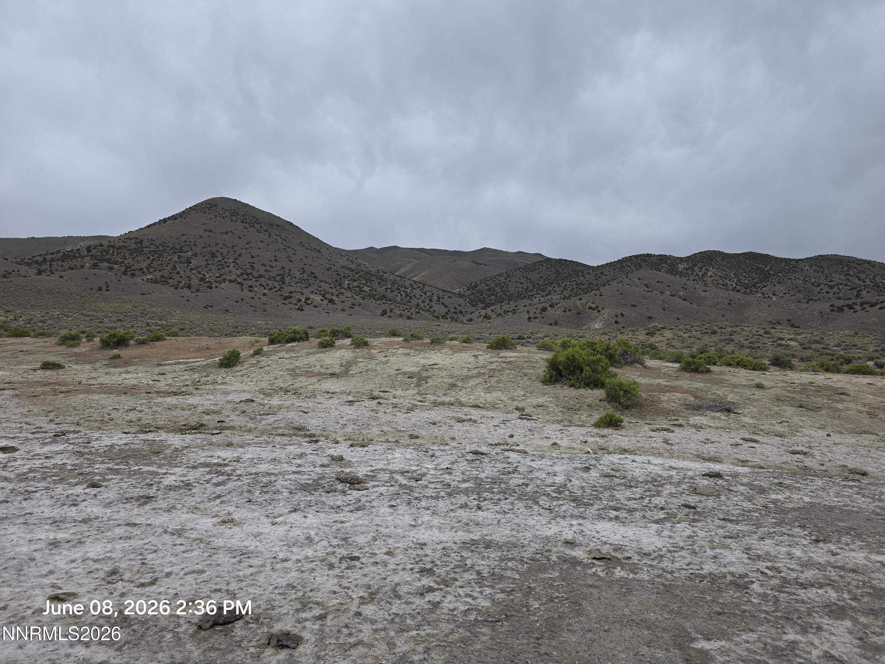 Image 4: 20260608_143645